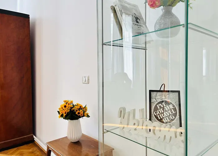 Joy Unirii 2 Τιμισοάρα